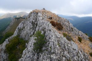 Larratza / Pikoatxikota tontorra