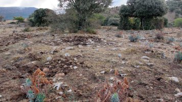 Corrales de Ateta 2 tumulua, Arteta-Ollo