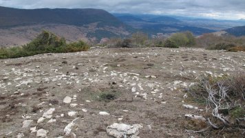 Treshayas eraztun tumulua, Andia