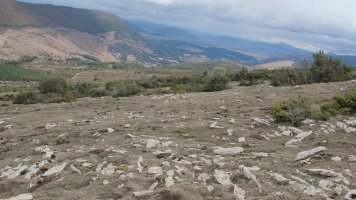 Alzemear 5 eraztun tumulua, Andia