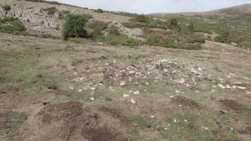 Alzemear 4 etxola hondoa, Andia