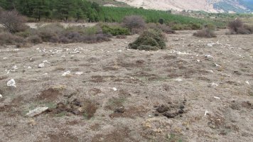 Urdintxa 3 eraztun tumulua, Andia