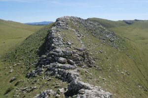 Arrubi tontorra erdiko muinotik