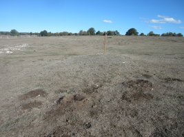 Túmulo Majadas de Allo 3 (octubre 2022)