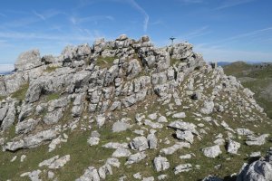 Tontorra, Ganboatxiki