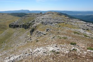 Erdialdeko tontorra, Pardarri