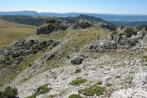 Putreaitz hegoaldeko bizkarrean, Pardarri