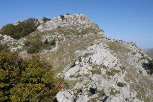 Pardarri: hegoaldeko bizkarreko pasarte bat (bidea eskubi aldean ikusten da)