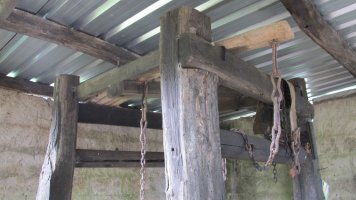 Perratokia, Alkegi-Bera