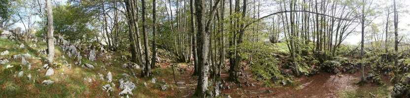 Tontorraren inguruak, Akaitztxiki