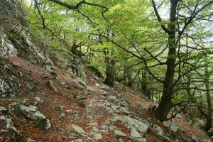 GR bidea, Baiarrate aldean