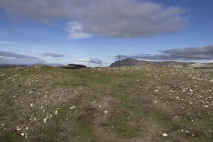 San Donatoko Bidea 2