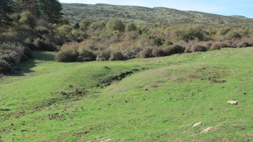 Borda Berri 1 etxola hondoa, Andia