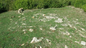 Borda Berri 3 tumulua, Andia