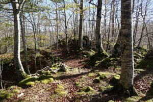 Belokira gerturatzen HEko hegian gora