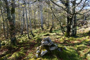 Belokigañeko tontorra