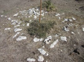 Túmulo El Ginebral* (Septiembre 2022)