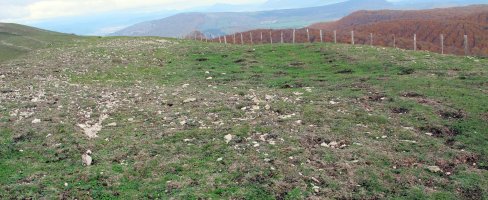 San Donatoko Bidea 2 eraztun tumulua, Andia