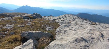 Bernera (2432m) tontorra