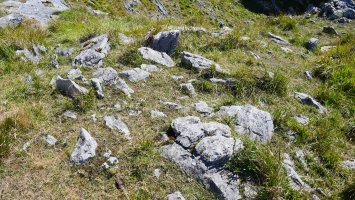 Ormatza I trikuharria