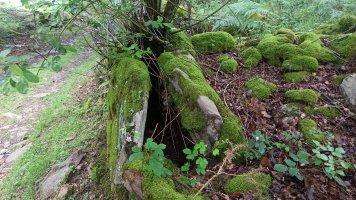 Dólmen Lizarrondo (Junio 2021) Foto G. Fuentes