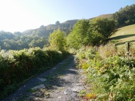 Igoerako pasarte bat