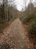 Ibilbideko tarte bat