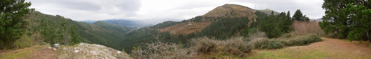 Gastarriagatik ikuspegi zabala