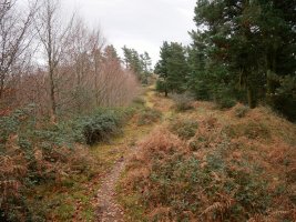 Lapurzulo eta Pagasarri arteko bidea