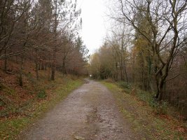 Ibilbideko tarte bat