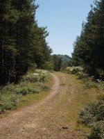 Arrastaleku eta Ganeta arteko mendigaina