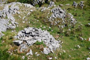 Zabalegi lepoko arkuek