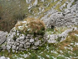 Arkue Gurutzeaga aldean 