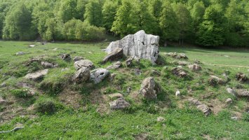 Lintza I Ipar trikuharria