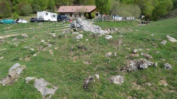 Lintza I Ipar trikuharria