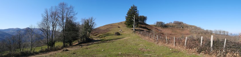 Pagogaña Oiartzabaleko bordaren ingurutik