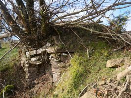 Mitxeleneko bordako karobia