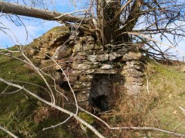 Mitxeleneko bordako karobia