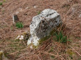 Malete zutarria, Bera