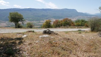 Kategaña trikuharria