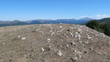 Ugagibel trikuharria