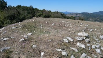 Ugagibel trikuharria