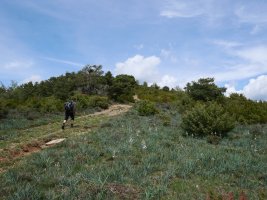 Azken txanpa hegoaldeko hegian gora