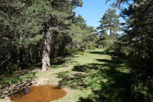 Hegoaldeko bizkarrean