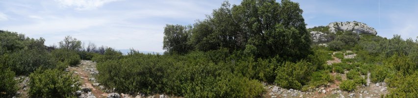 Romastaca eta Ibarra arteko lepoko panoramika