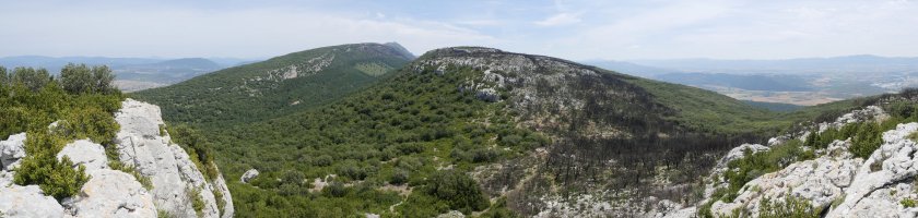 Ibarra Romastacako ekialdeko ertzetik