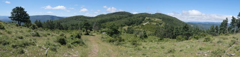 Virgen de Peña, Bardipeña aldetik