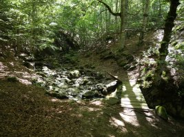 Zurezko zubia bidean