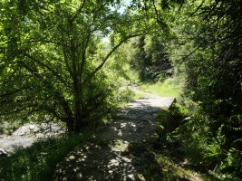 Zubia Arrakogoiti errekaren gainean