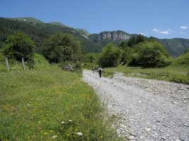 Belaguako erreka lehorrean